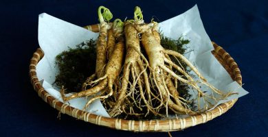 ¿Qué es y para qué sirve el ginseng?