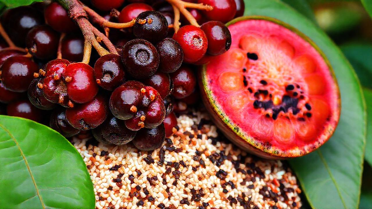 La selva amazónica ofrece poder natural