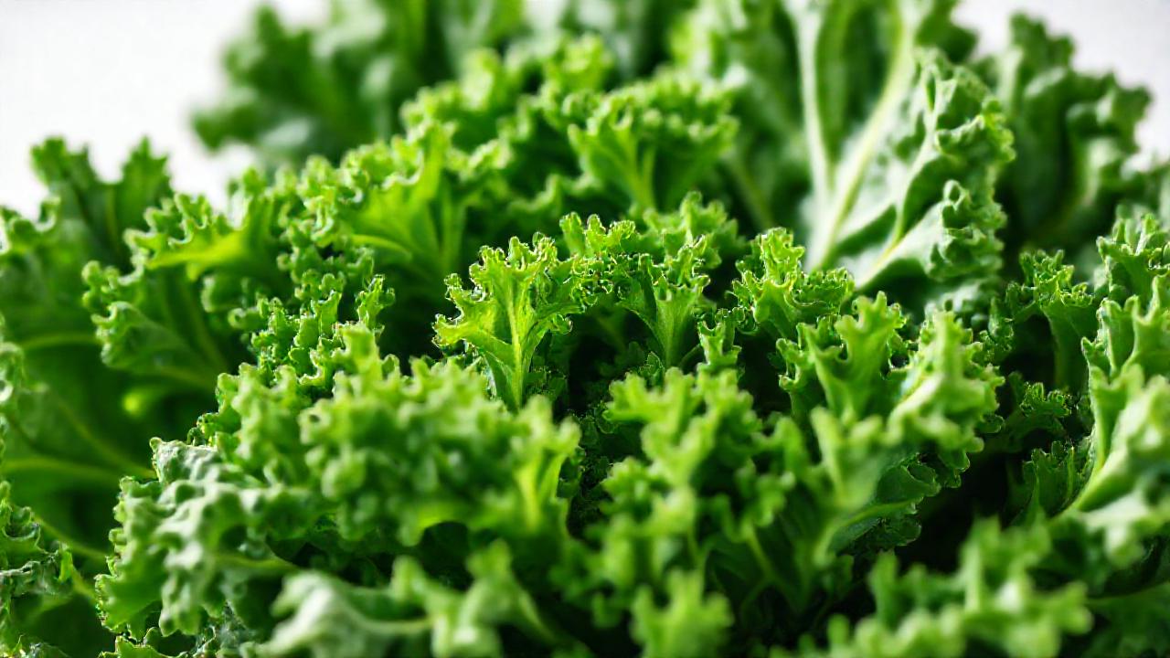 Hojas de kale frescas y saludables