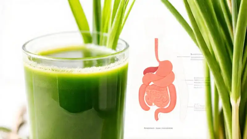 Jugo verde ilustra un intestino sano
