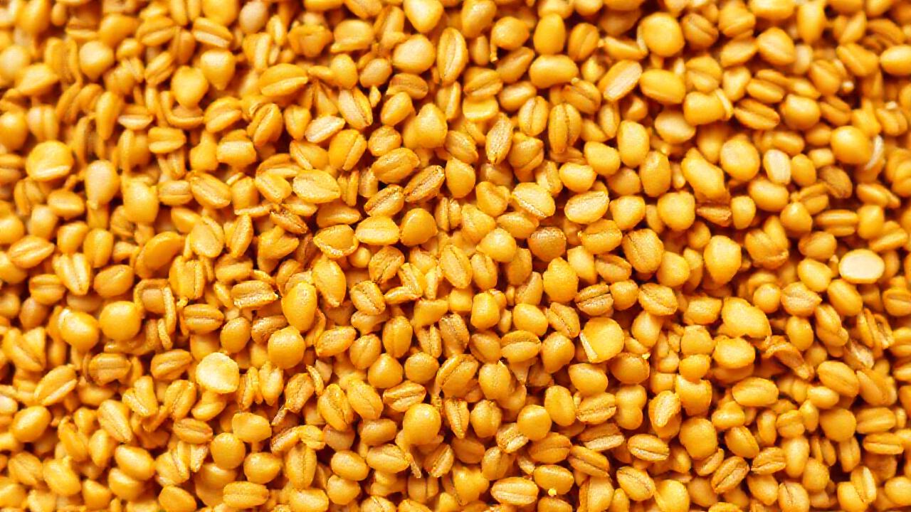 Lino dorado promueve salud digestiva y vitalidad