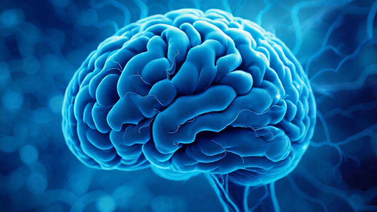 El cerebro humano transmite calma visual