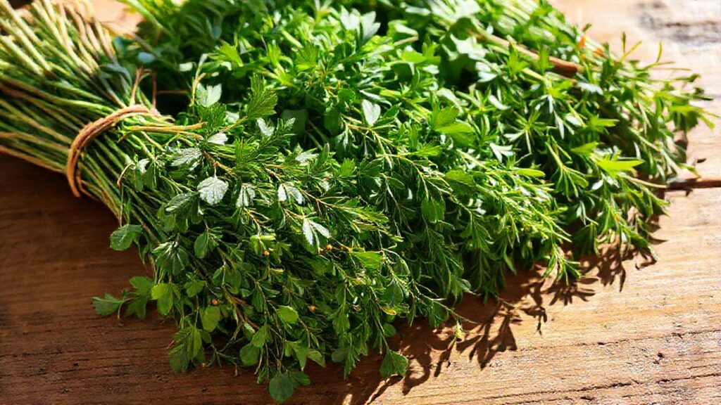 Un ramo de hierbas invita a la salud