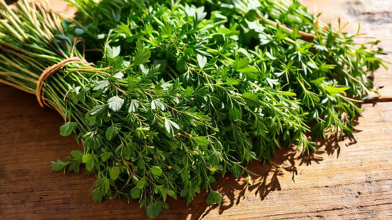 Un ramo de hierbas invita a la salud