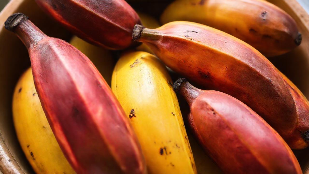 Plátanos maduros promueven salud digestiva natural