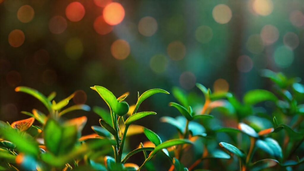 Salud vegetal y belleza interior radiante