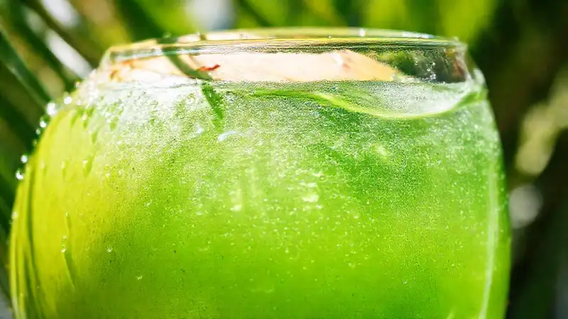 Coco refrescante en luz natural