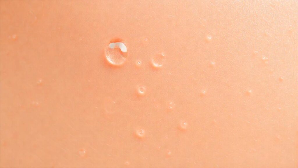 Piel radiante con aceite botánico calmante