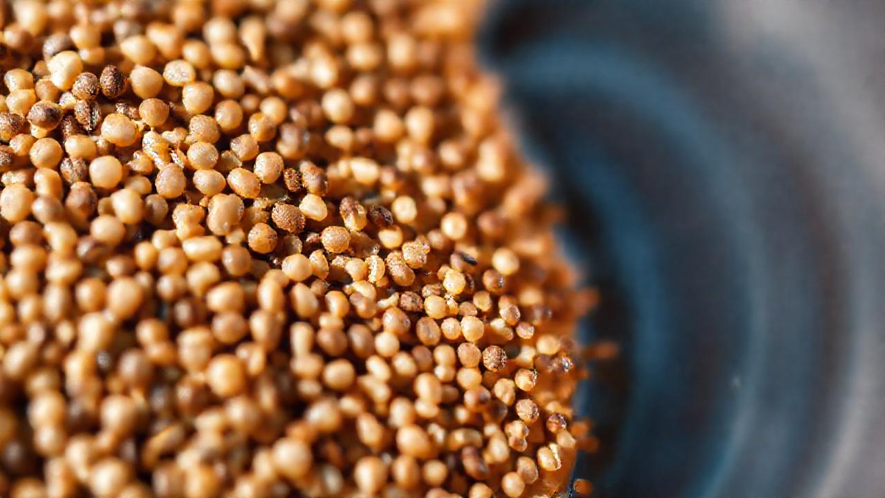 Semillas chía: salud, belleza y limpieza