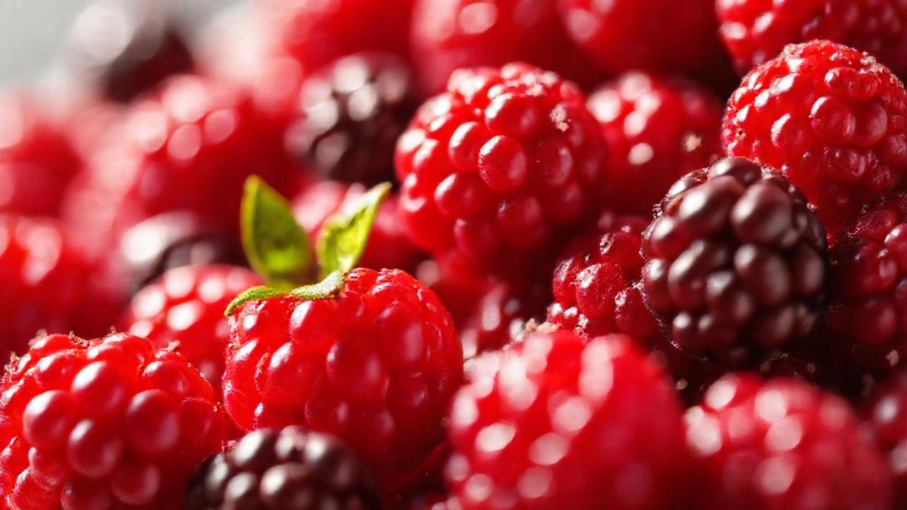 Bayas rojas: dulzura y vitalidad visual