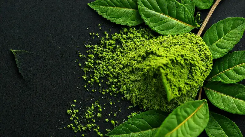 Matcha: salud