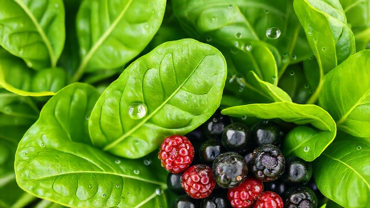 Belleza natural y bienestar saludable