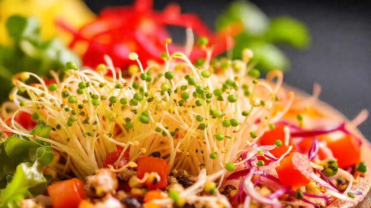 Brotes frescos y saludables, apetitoso bienestar