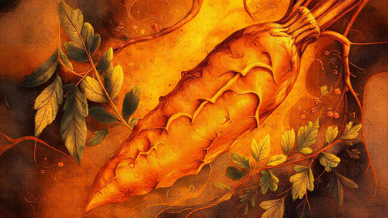 Turmero y hierbas nutren un bienestar calmado