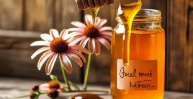 Miel dorada y echinacea curan naturalmente