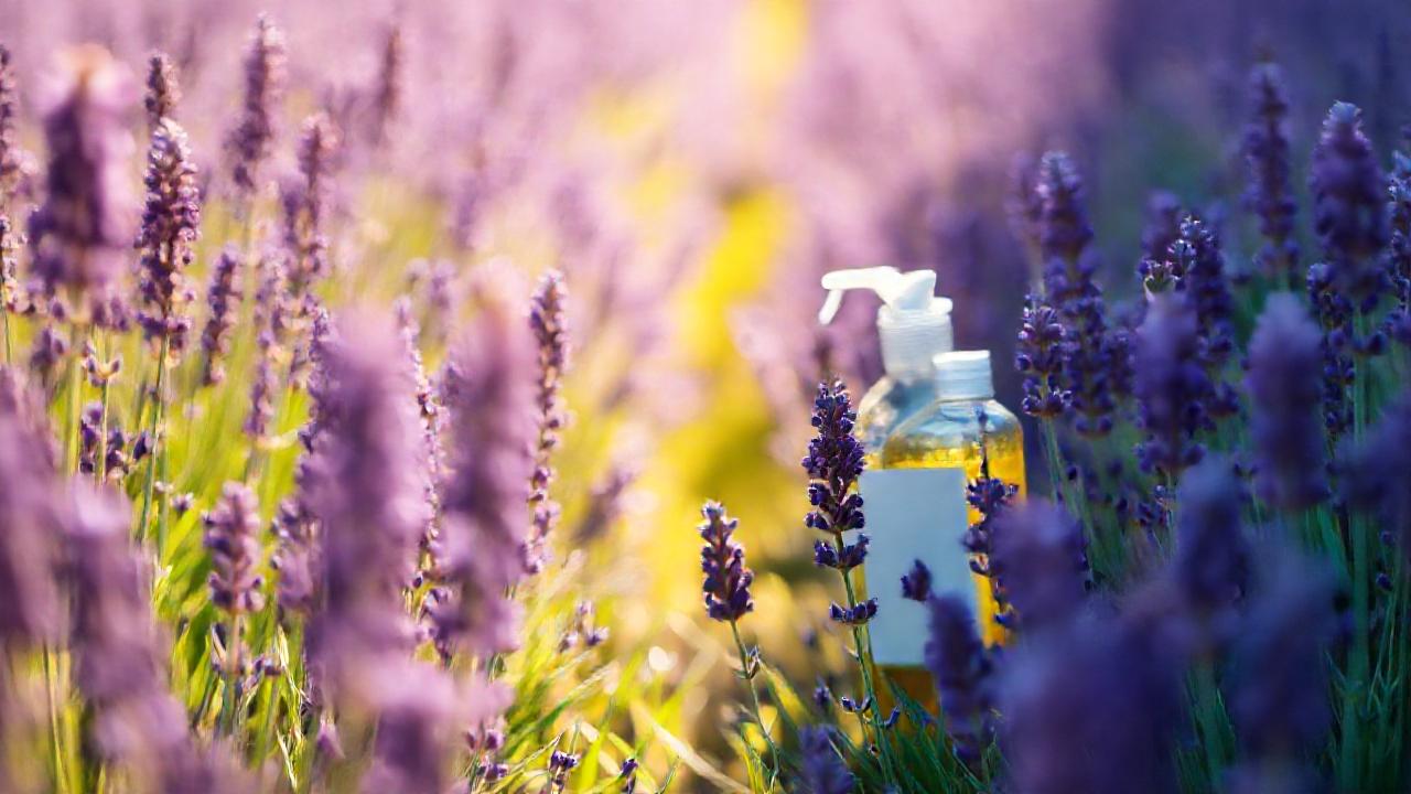 Lavanda vibrante limpia y relaja