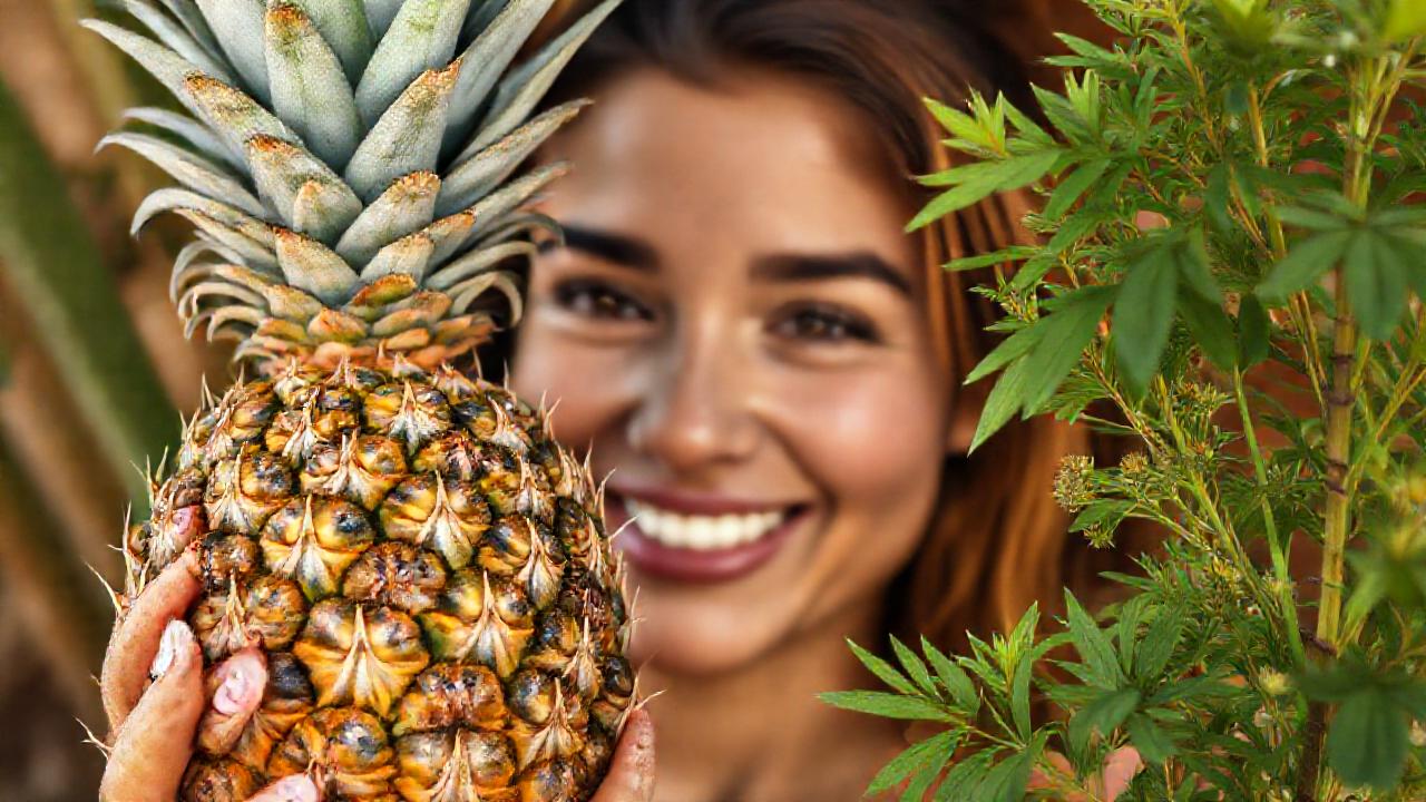 Refugio natural, frutas tropicales y bienestar