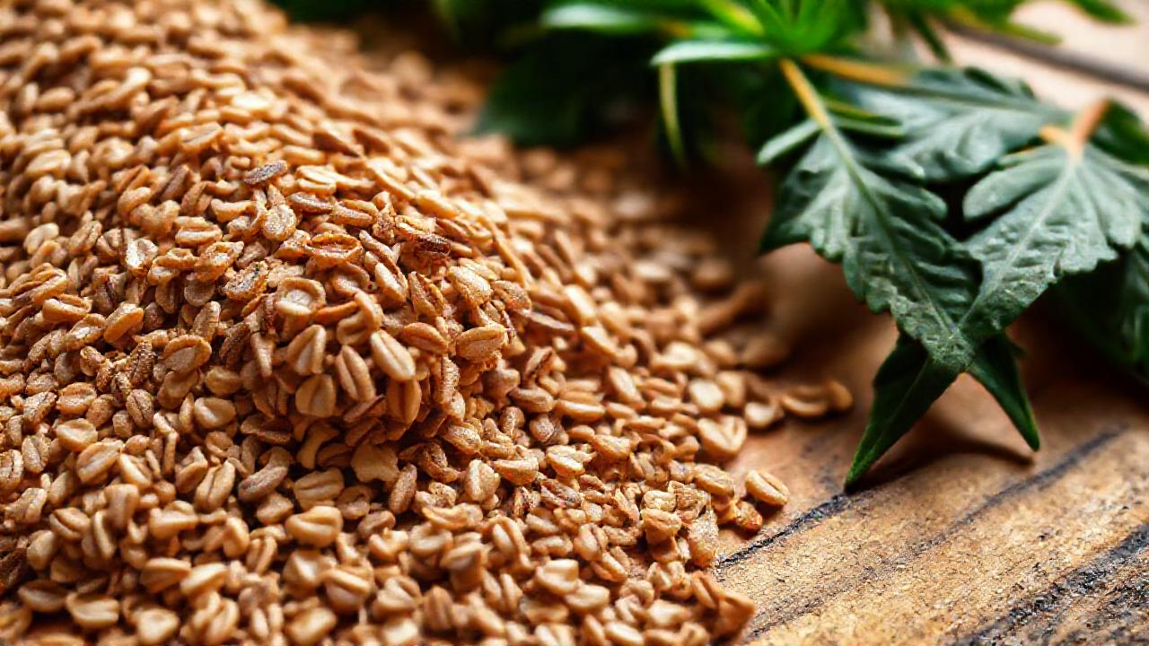 Semillas de lino, hierbas digestivas, salud intestinal