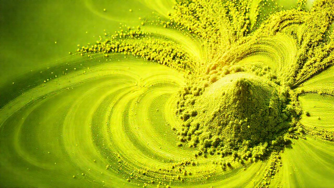 Moringa aporta energía y vitalidad natural