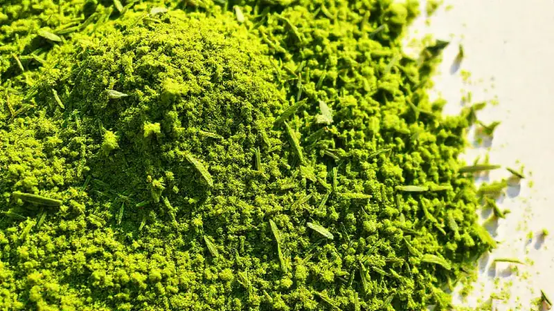 El té matcha evoca serenidad japonesa