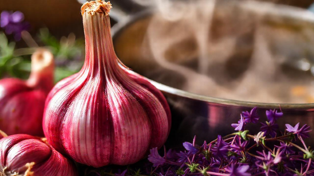 Ajo rojo, hierbas y receta apetecible