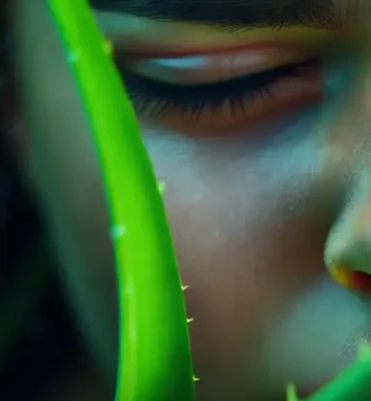 Aloe vera calma y revitaliza la piel