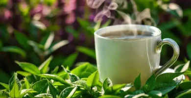 Té verde: calma y antioxidantes