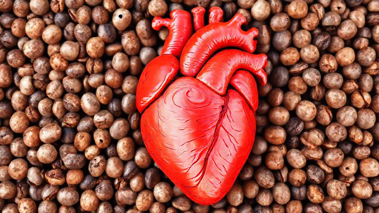 Semillas chía: corazón sano, colesterol reducido