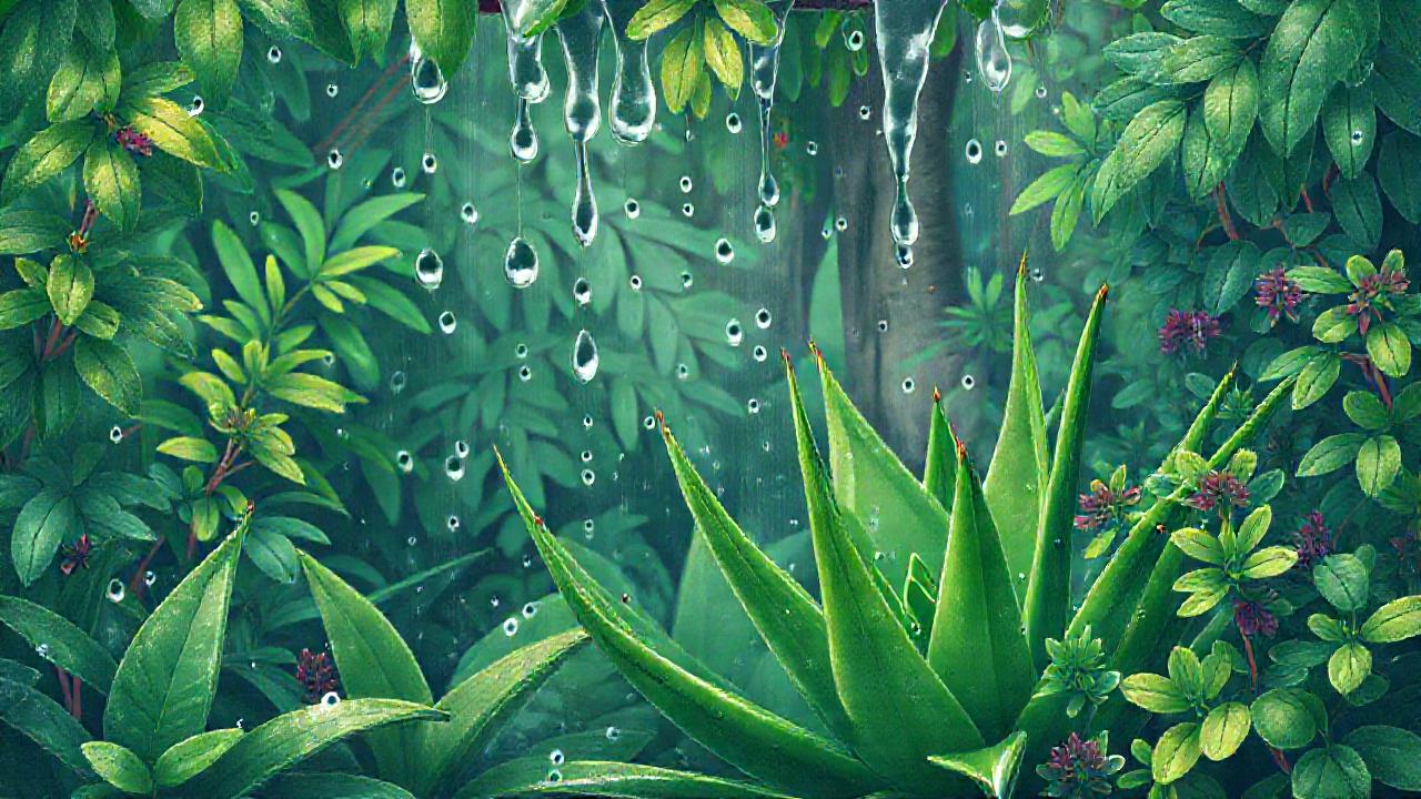 Jardín exuberante y refrescante