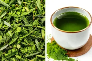 Matcha y té verde