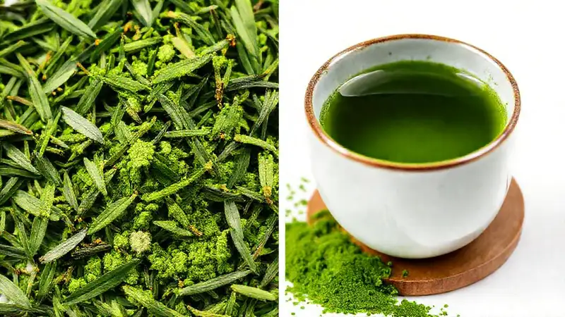 Matcha y té verde