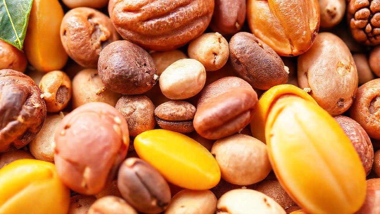 Nueces saludables: salud