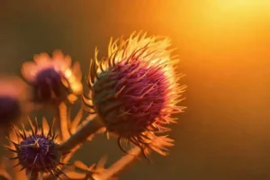Thistle ilustra salud con detalles científicos