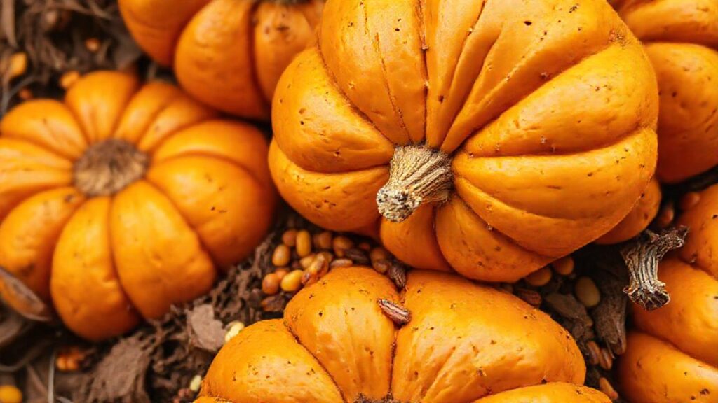 Calabazas doradas