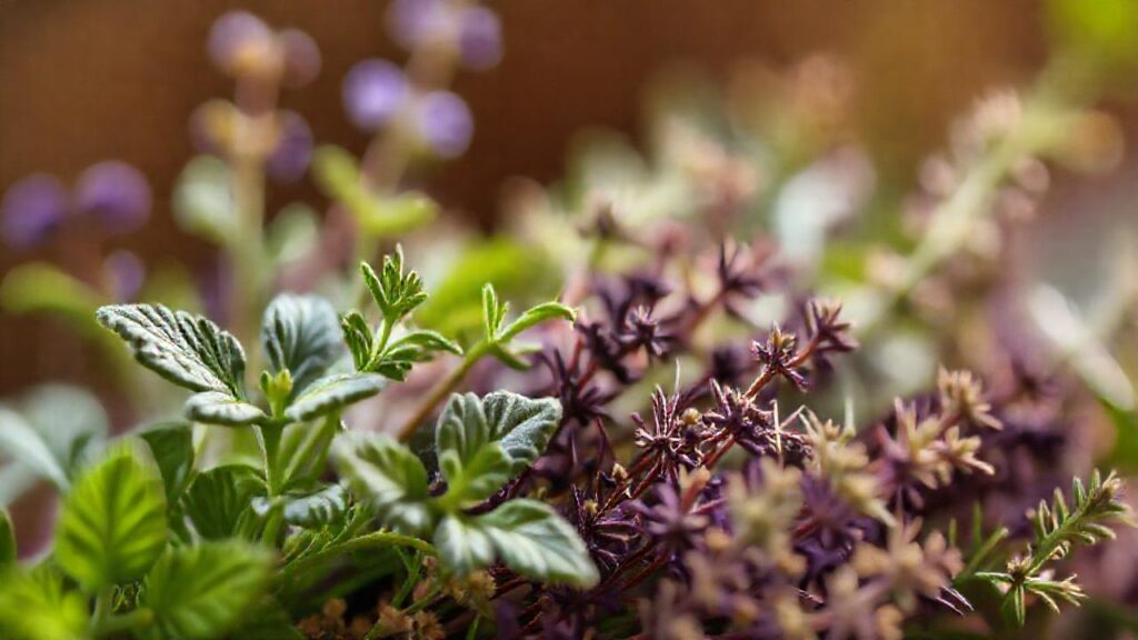Hierbas curativas vibrantes promueven salud y calma