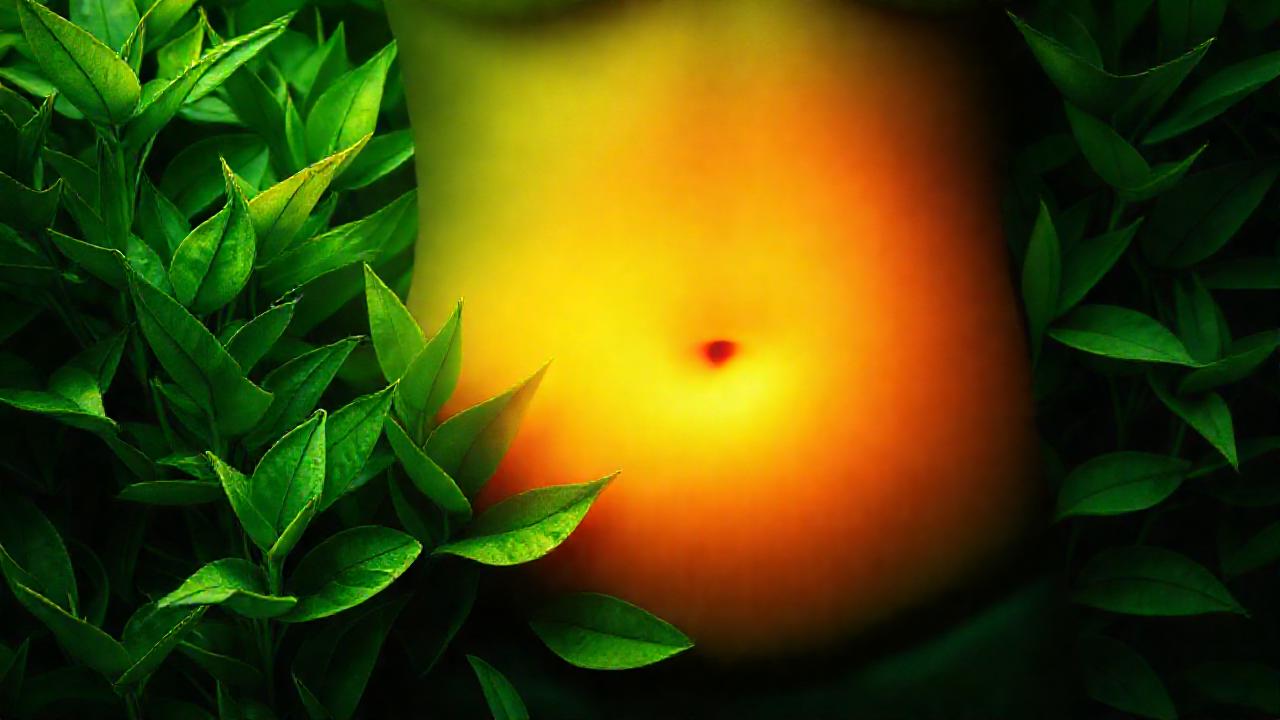 Té verde: salud, calma y bienestar