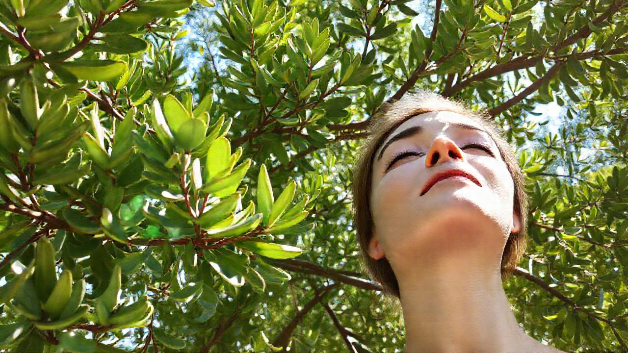 La naturaleza ofrece salud y calma